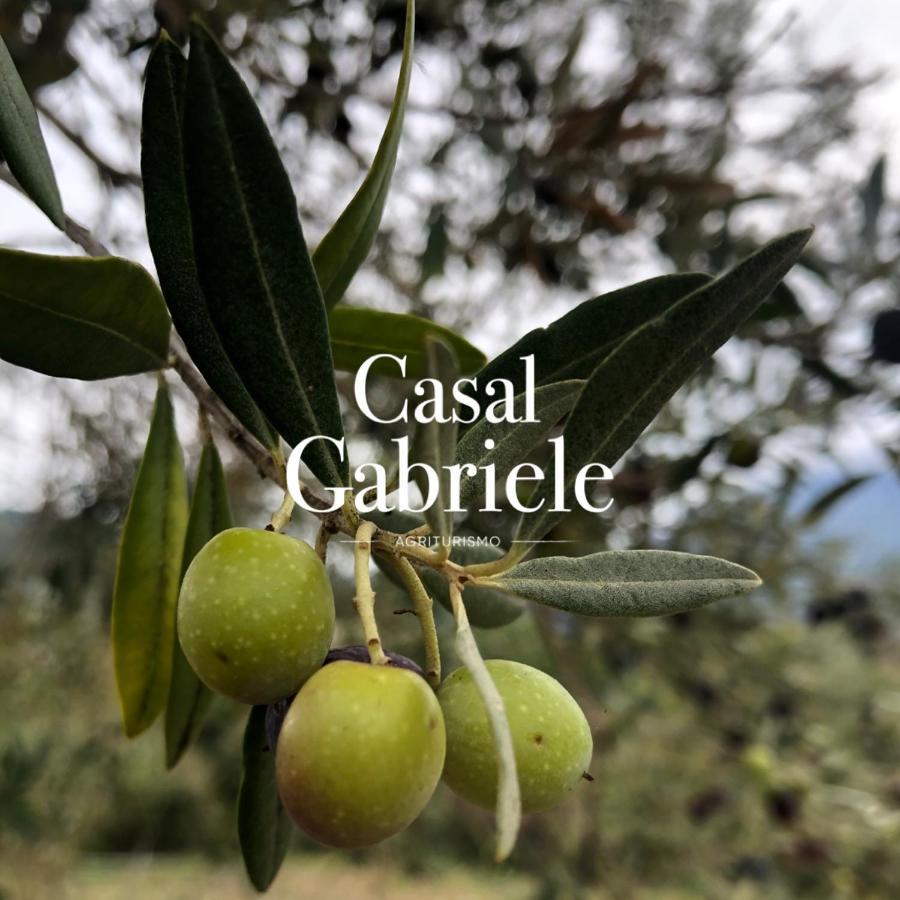 Casal Gabriele Villa Lettere Eksteriør bilde